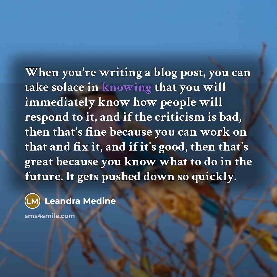 “When you're writing a blog post, you can take solace…” quote by Leandra Medine