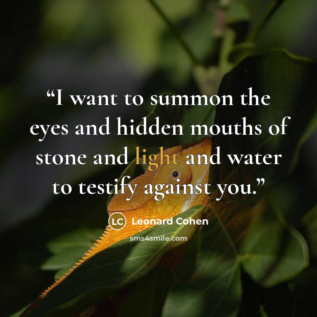 “I want to summon the eyes and hidden mouths of stone and light and water to testify against you.” quote by Leonard Cohen
