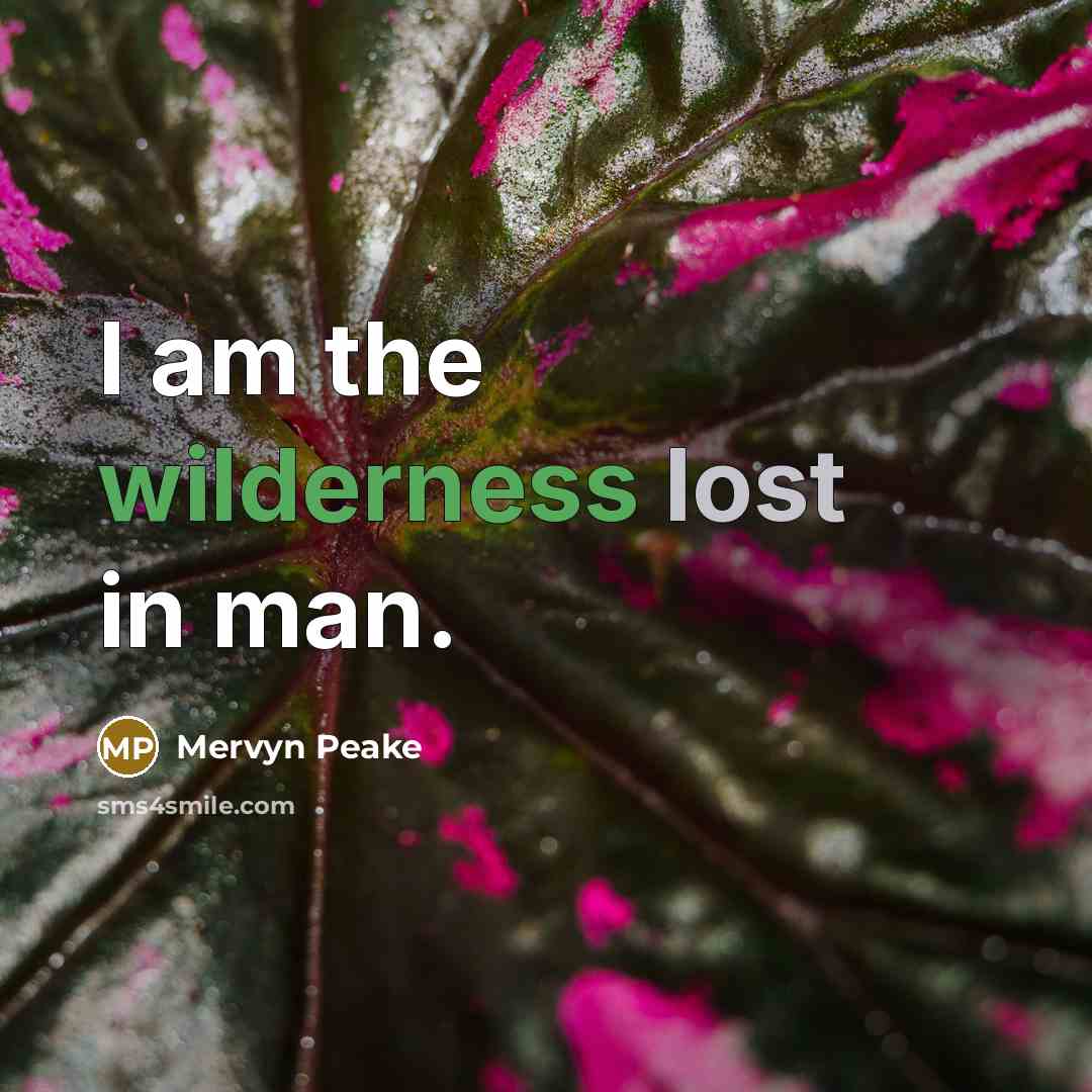 “I am the wilderness lost in man.…” quote by Mervyn Peake