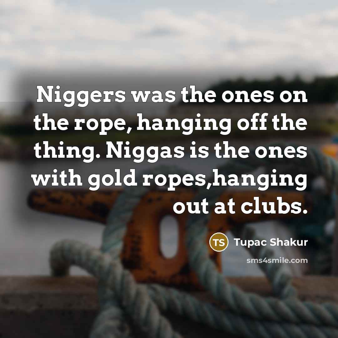 “Niggers was the ones on the rope, hanging off the…” quote by Tupac Shakur