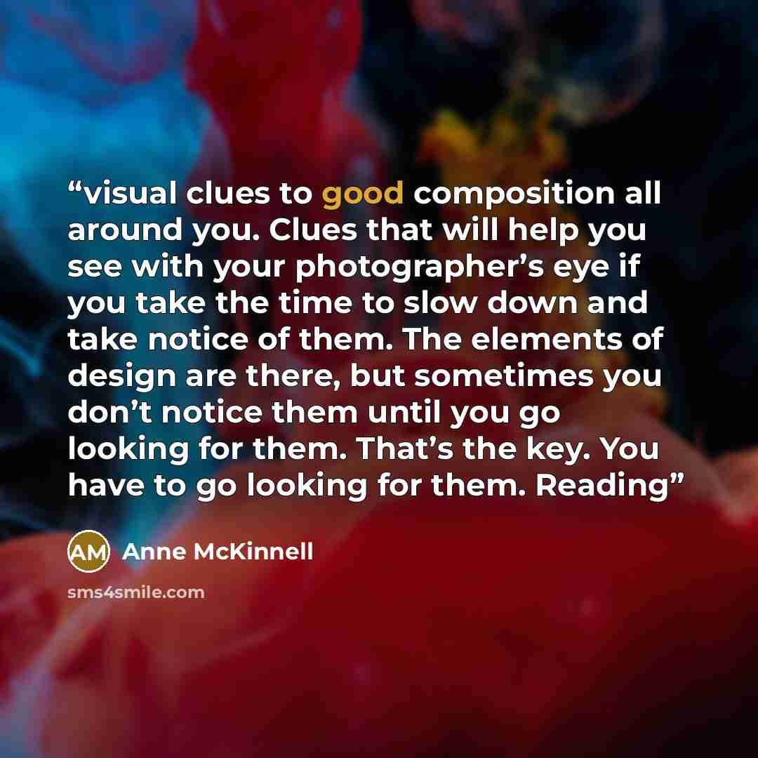“visual clues to good composition all around you. Clues that will help you see with your photographerʼs eye if you take the time to slow down and take notice of them. The elements of design are there, but sometimes you donʼt notice them until you go looking for them. Thatʼs the key. You have to go…” quote by Anne McKinnell