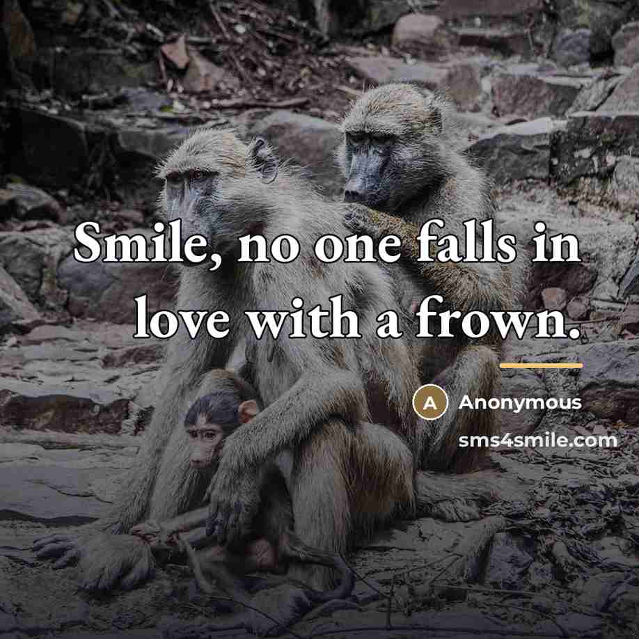 “Smile, no one falls in love with a frown.…” quote by Anonymous