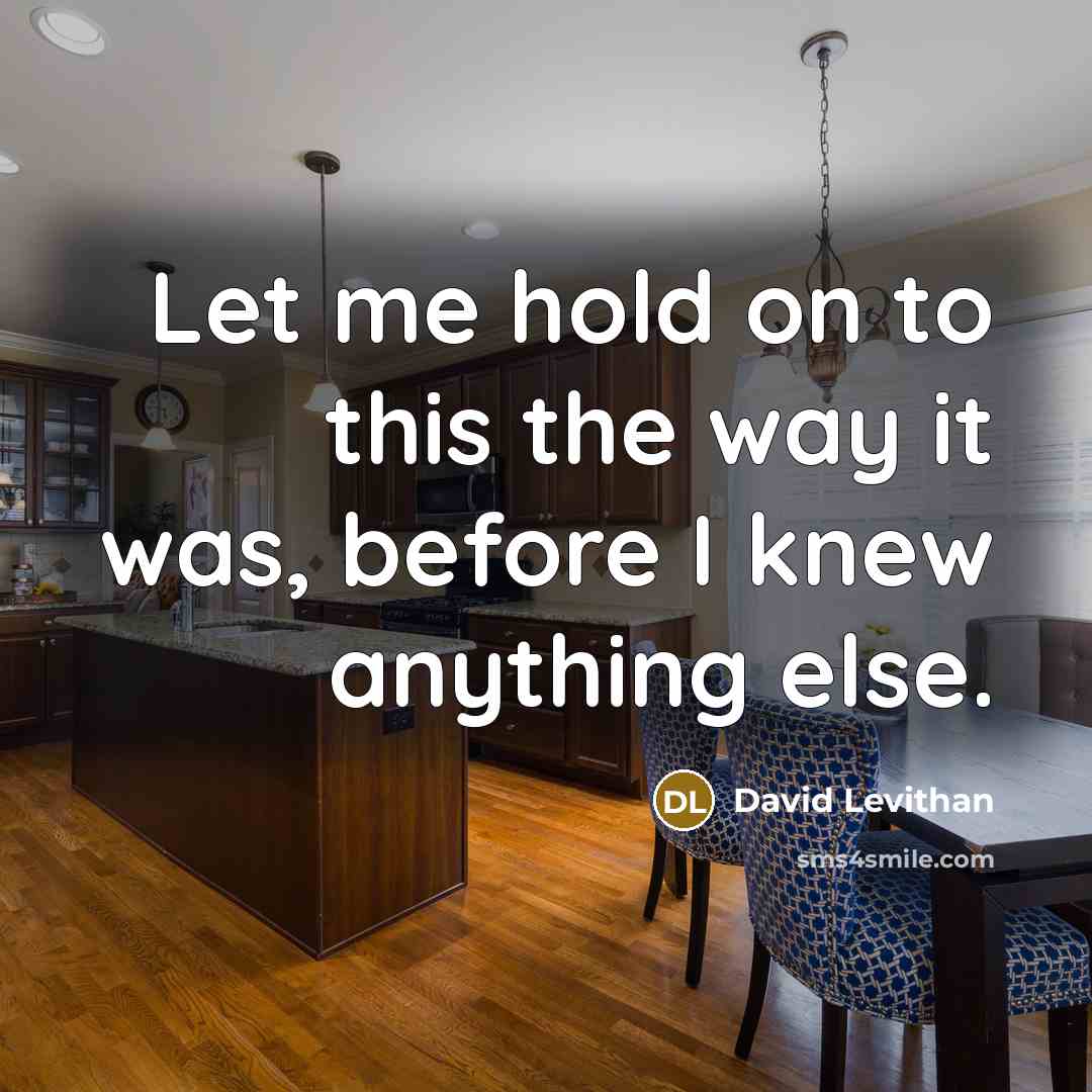 “Let me hold on to this the way it was,…” quote by David Levithan