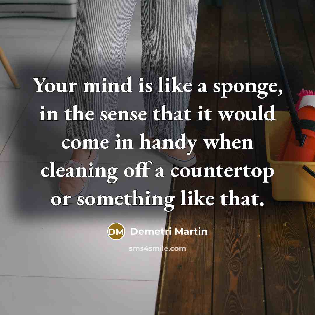 “Your mind is like a sponge, in the sense that…” quote by Demetri Martin