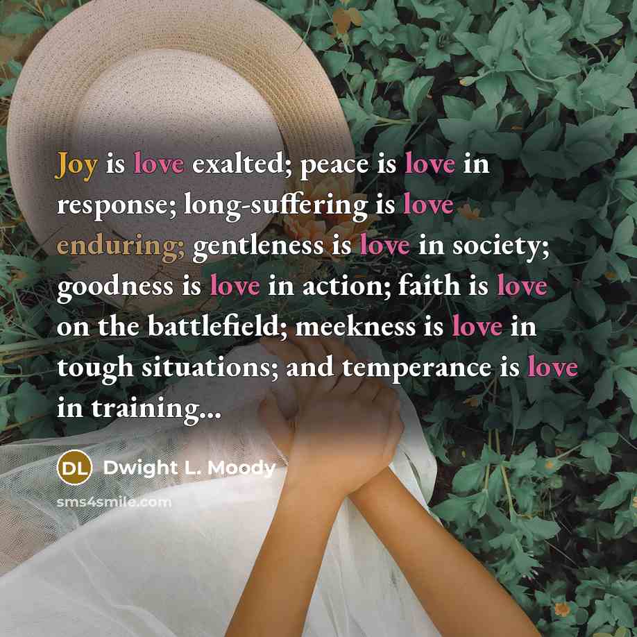 “Joy is love exalted; peace is love in response; long-suffering…” quote by Dwight L. Moody