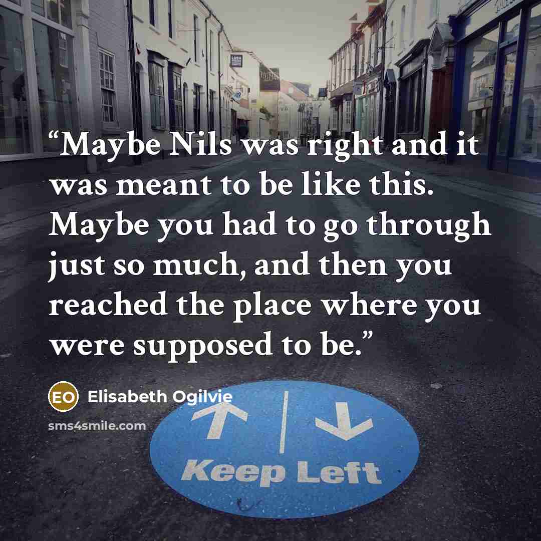“Maybe Nils was right and it was meant to be like this. Maybe you had to go through just so much, and then you reached the place where you were supposed to be.” quote by Elisabeth Ogilvie