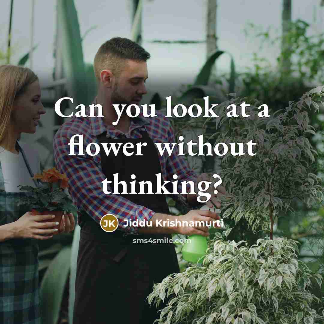 “Can you look at a flower without thinking?…” quote by Jiddu Krishnamurti