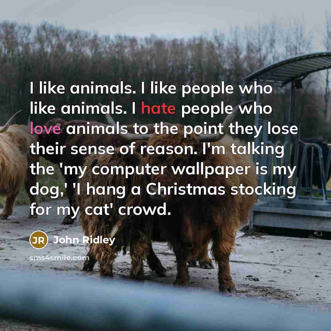 “I like animals. I like people who like animals. I hate people who love animals to the point they lose their sense of reason. I'm talking the 'my computer wallpaper is my dog,' 'I hang a Christmas stocking for my cat' crowd.” quote by John Ridley