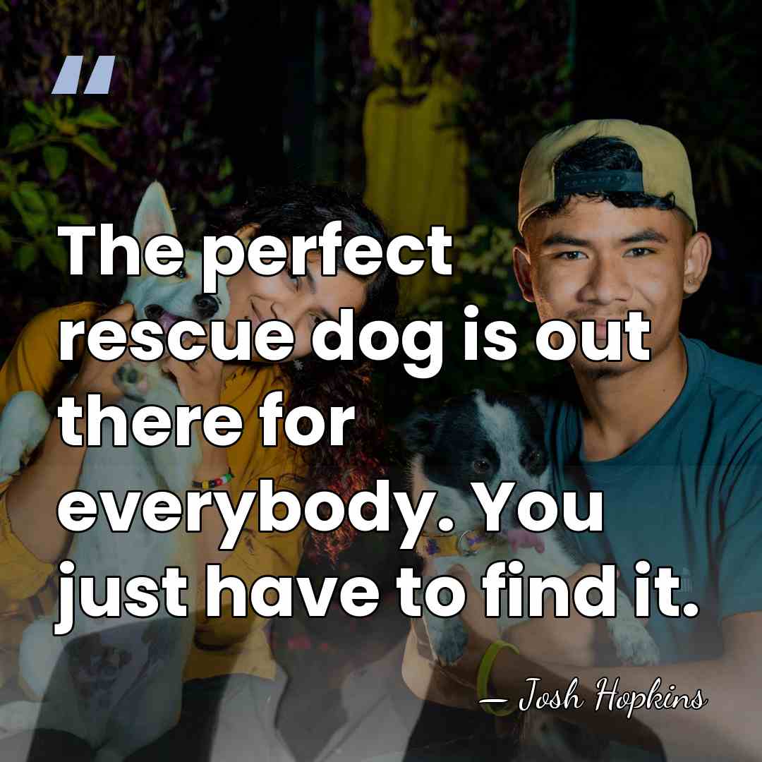 The perfect rescue dog is out there for everybody. You just have&hellip; - Josh Hopkins