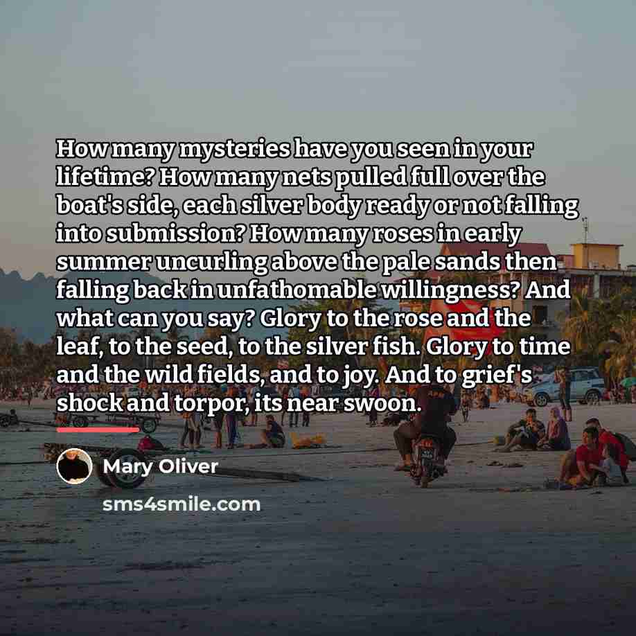 “How many mysteries have you seen in your lifetime? How…” quote by Mary Oliver