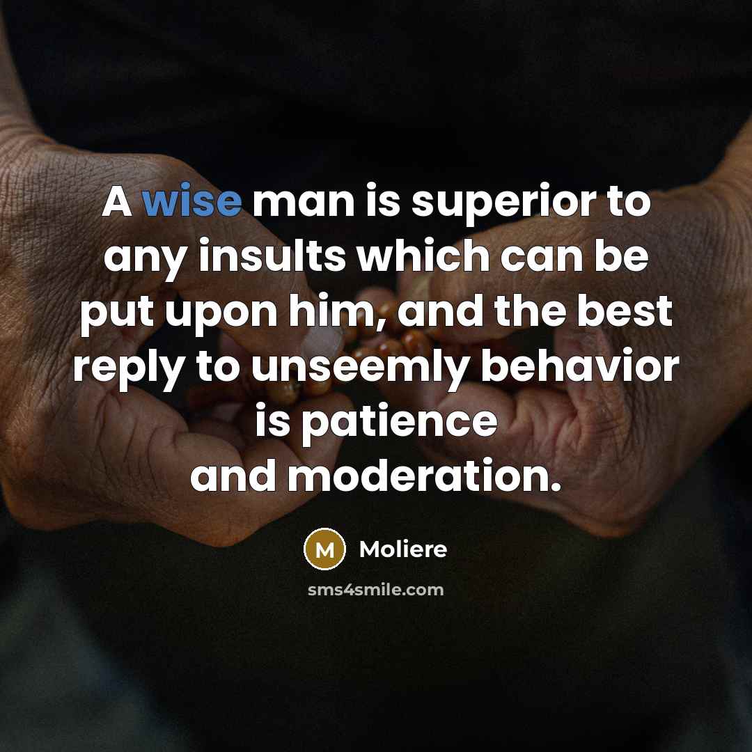 “A wise man is superior to any insults which can…” quote by Moliere