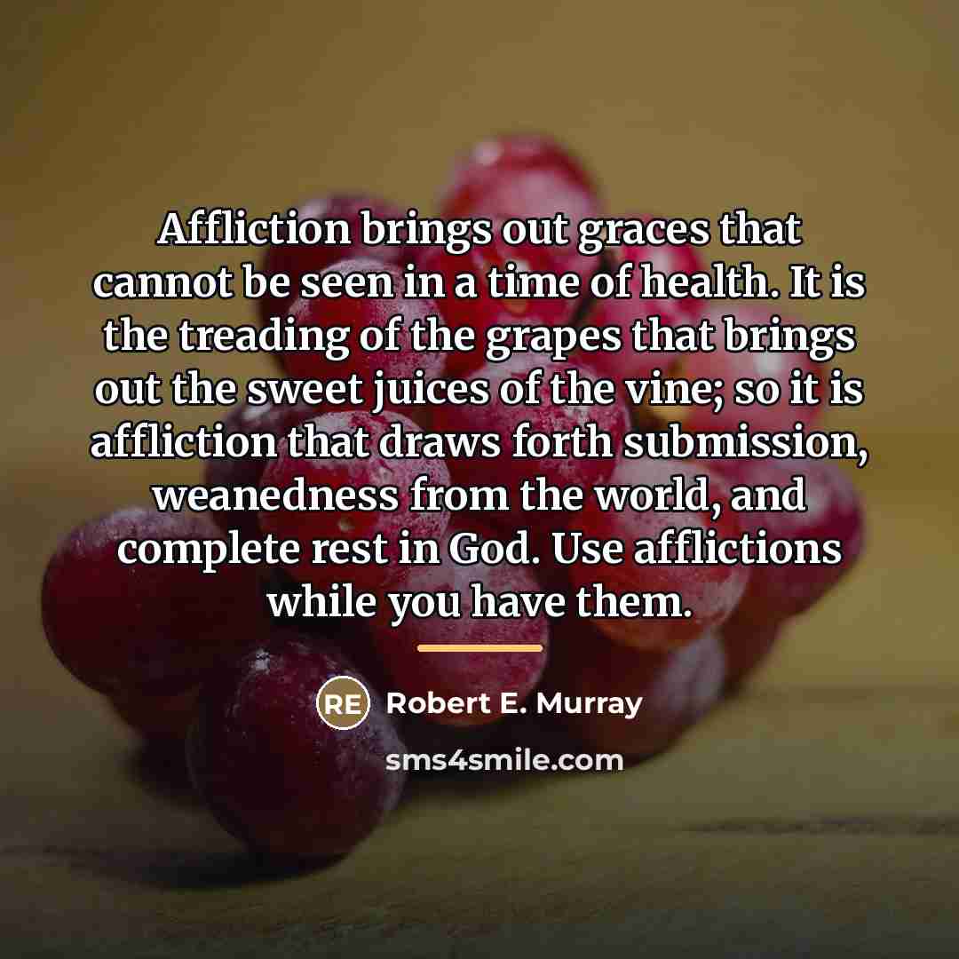 “Affliction brings out graces that cannot be seen in a…” quote by Robert E. Murray