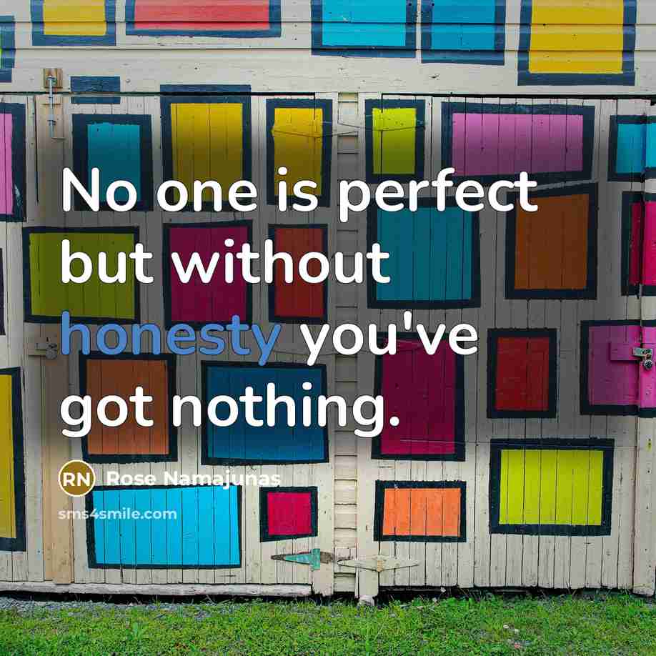 “No one is perfect but without honesty you've got nothing.…” quote by Rose Namajunas