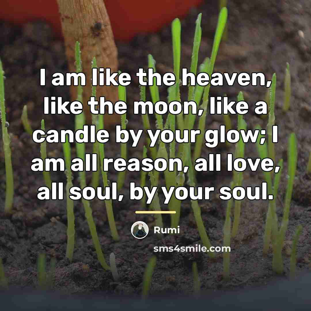 “I am like the heaven, like the moon, like a…” quote by Rumi