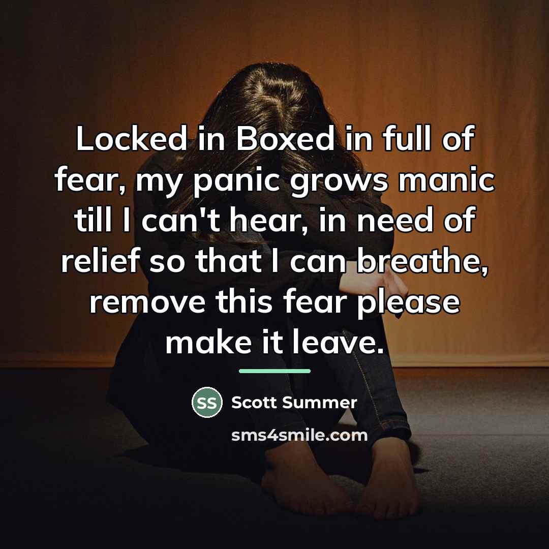 “Locked in Boxed in full of fear, my panic grows…” quote by Scott Summer