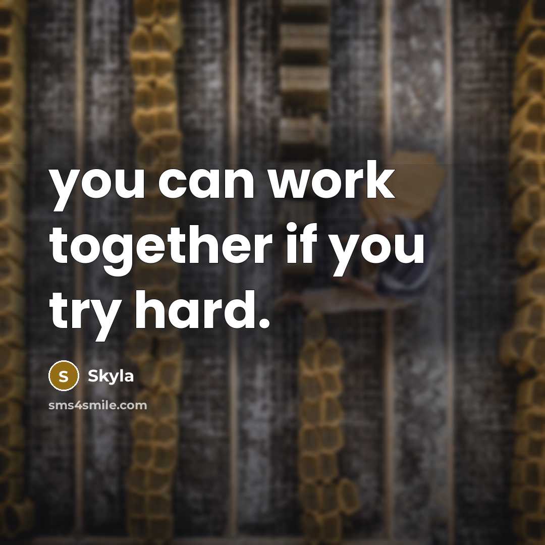 “you can work together if you try hard.…” quote by Skyla