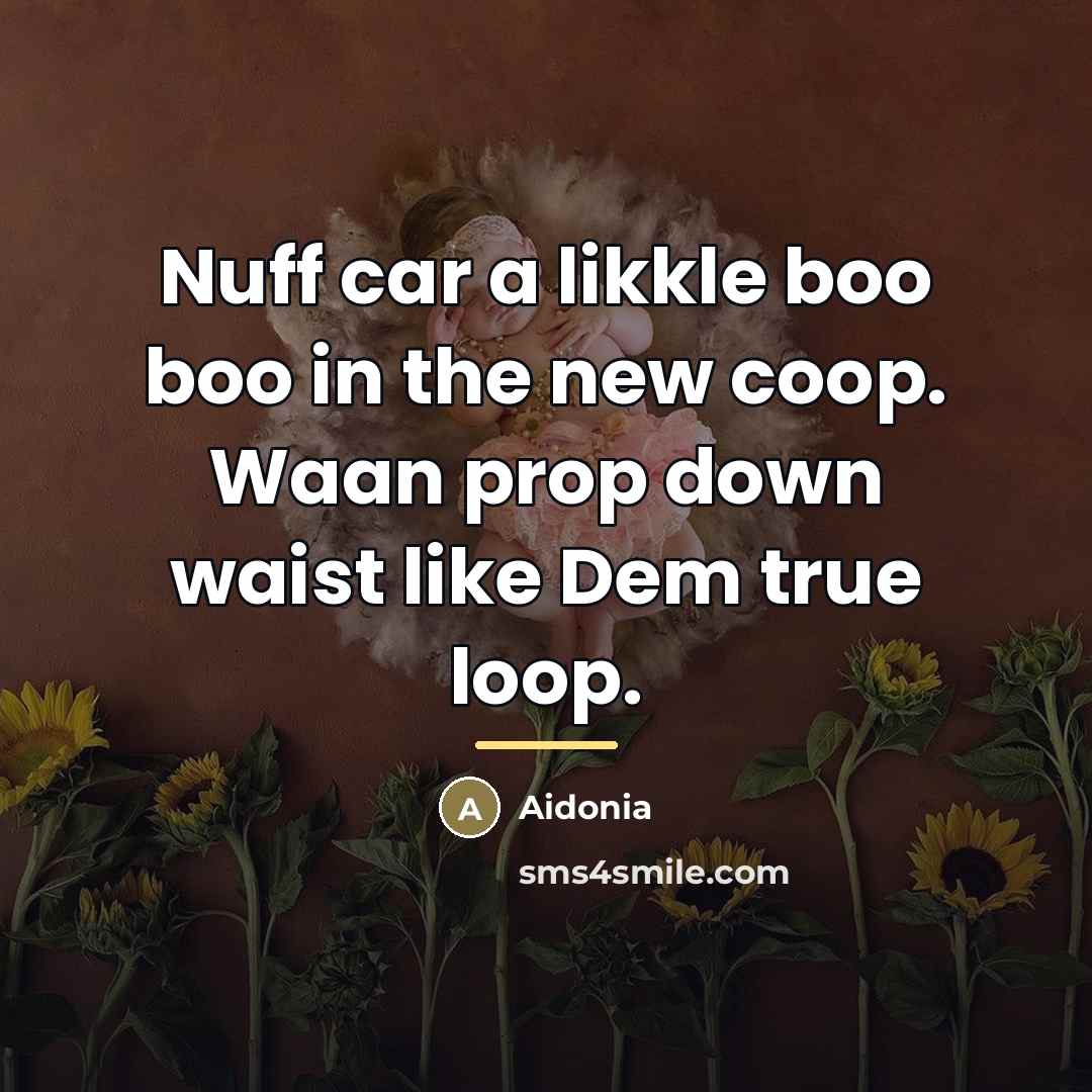 “Nuff car a likkle boo boo in the new coop.…” quote by Aidonia