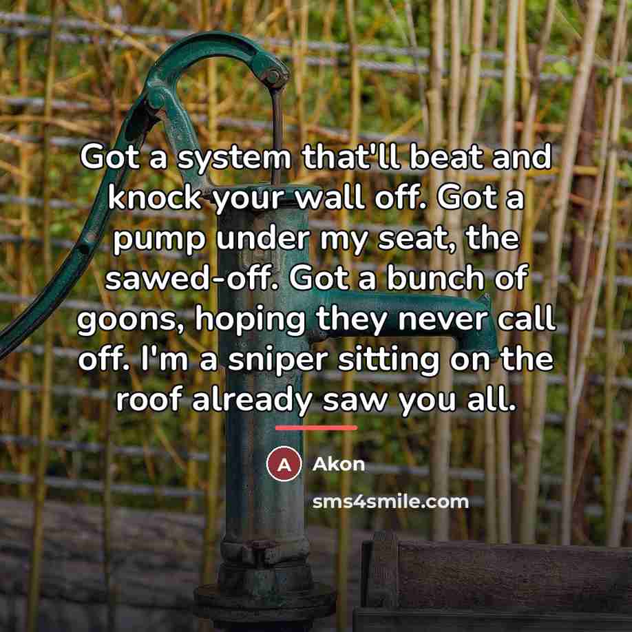 “Got a system that'll beat and knock your wall off.…” quote by Akon