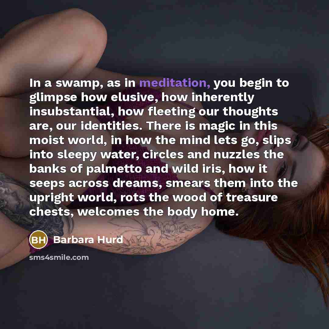 “In a swamp, as in meditation, you begin to glimpse…” quote by Barbara Hurd