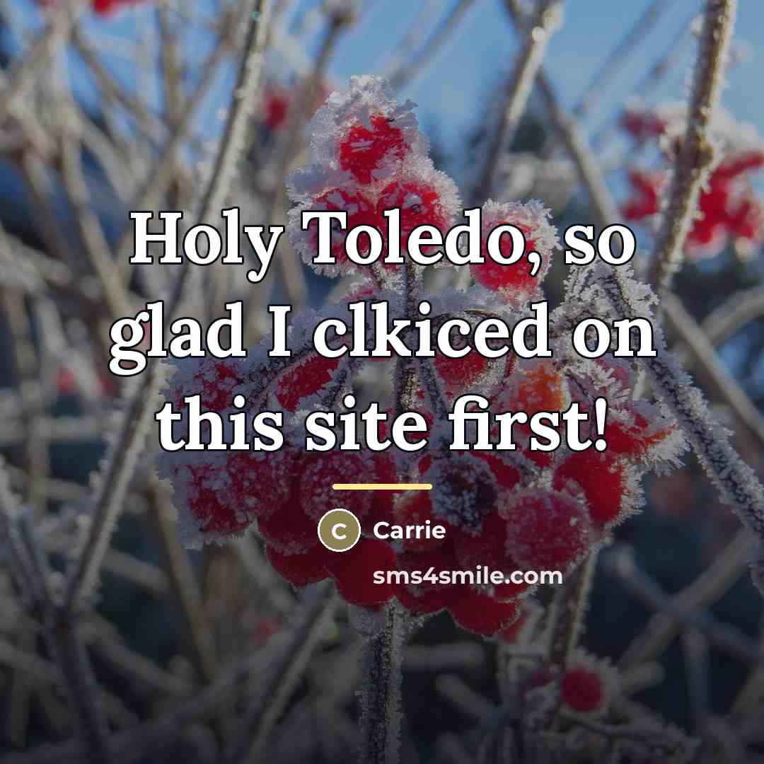 “Holy Toledo, so glad I clkiced on this site first!…” quote by Anonymous