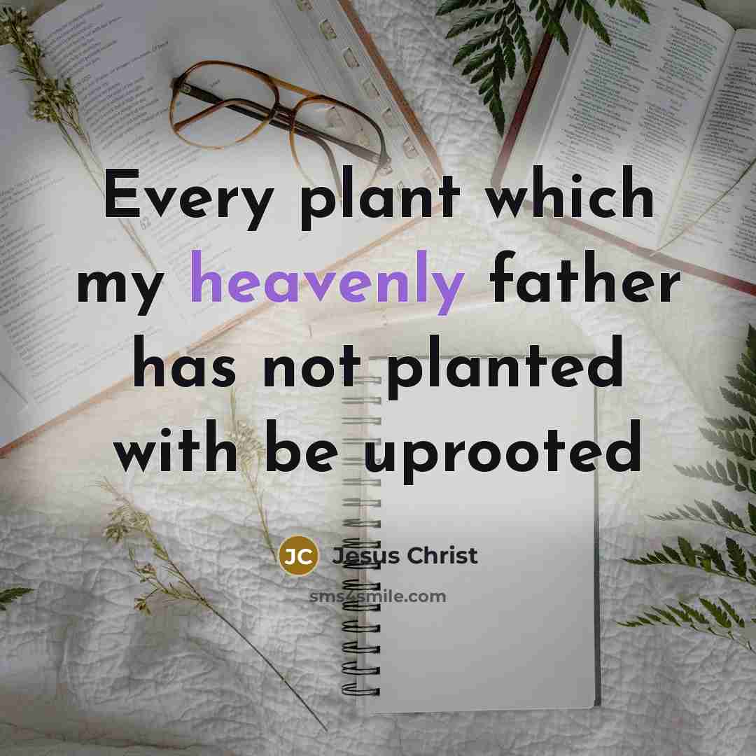 “Every plant which my heavenly father has not planted with…” quote by Jesus Christ