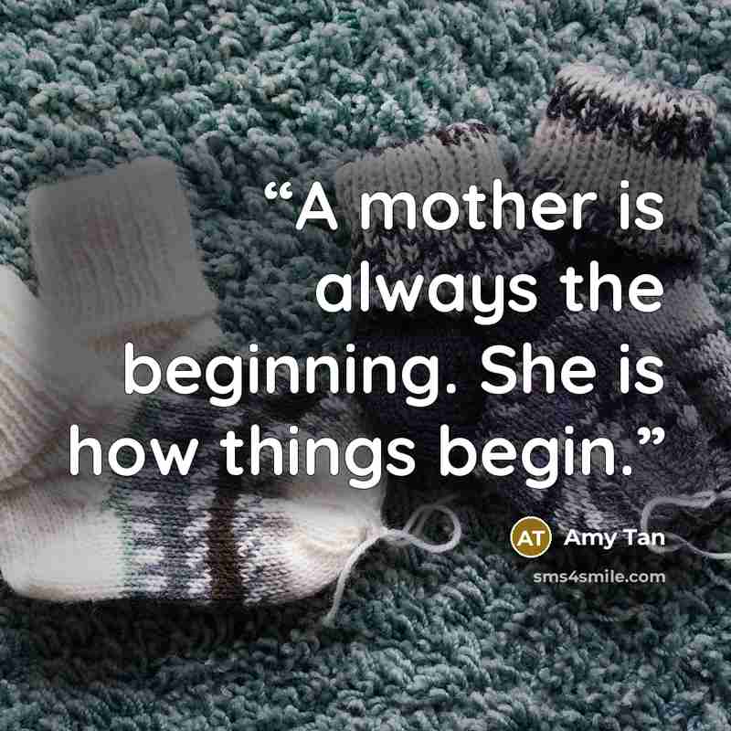 “A mother is always the beginning. She is how things begin.” quote by Amy Tan