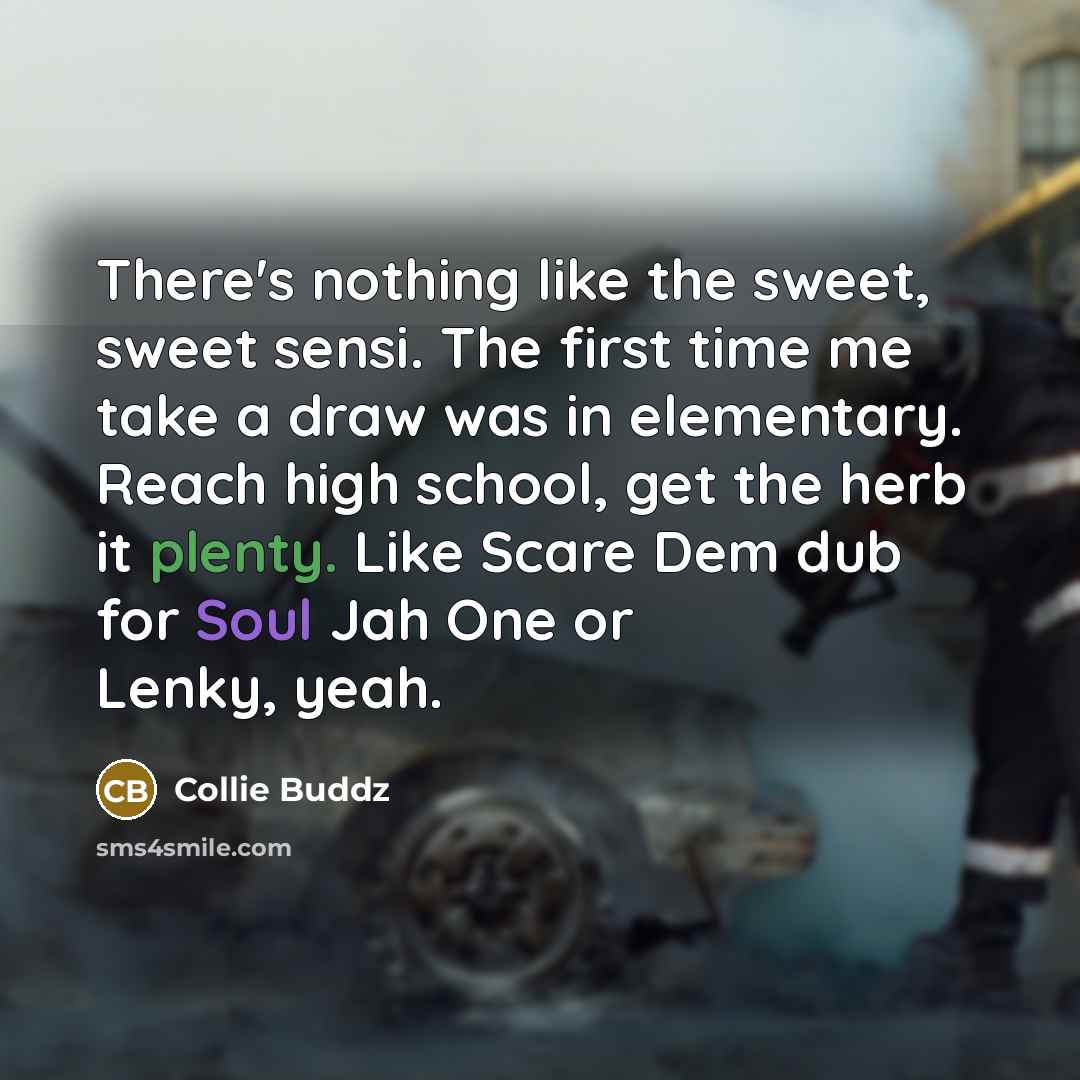 “There's nothing like the sweet, sweet sensi. The first time me take a draw was in elementary. Reach high school, get the herb it plenty. Like Scare Dem dub for Soul Jah One or Lenky, yeah.” quote by Collie Buddz