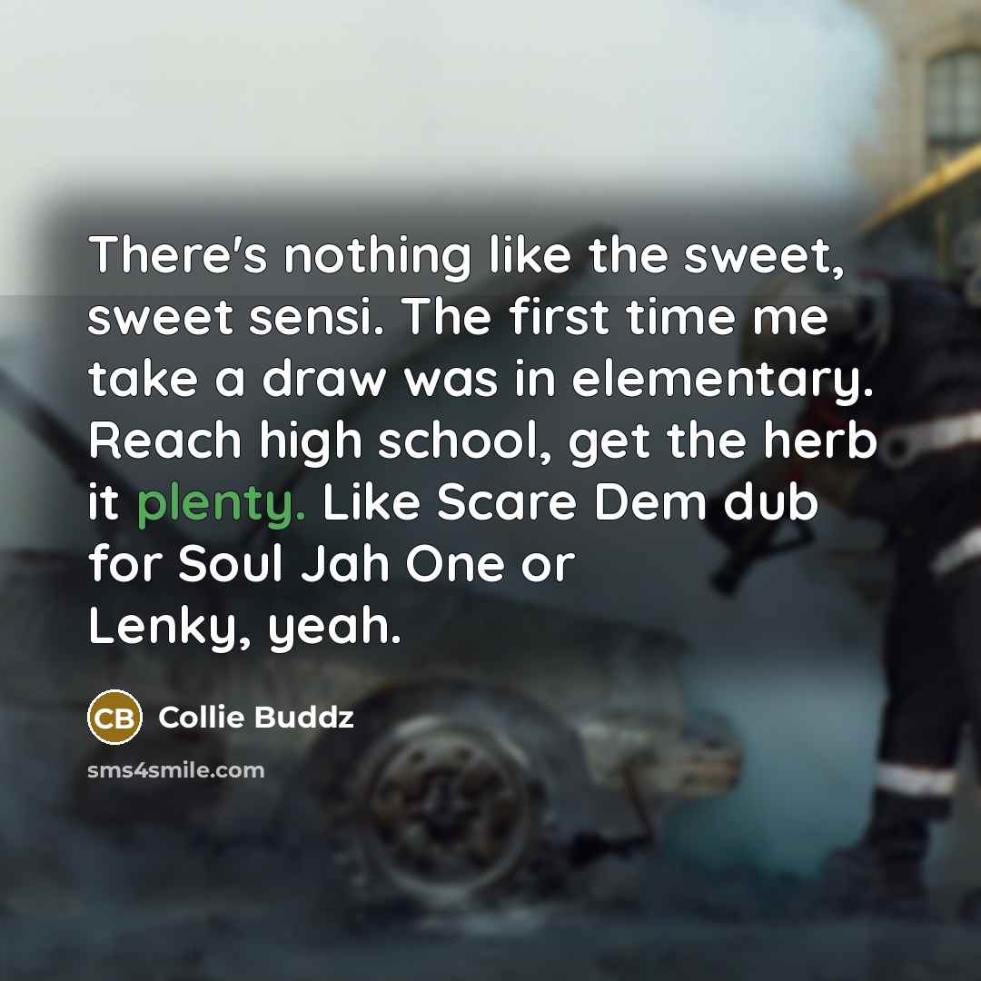 “There's nothing like the sweet, sweet sensi. The first time…” quote by Collie Buddz