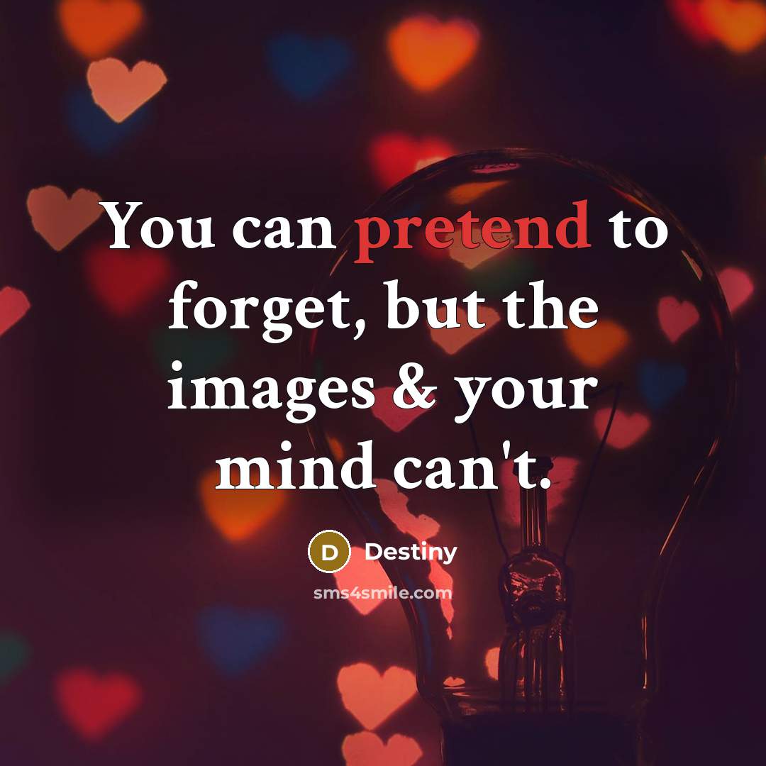 “You can pretend to forget, but the images & your mind can't.” quote by Destiny