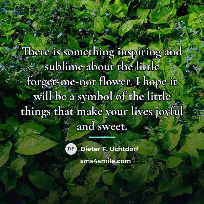 “There is something inspiring and sublime about the little forget-me-not…” quote by Dieter F. Uchtdorf