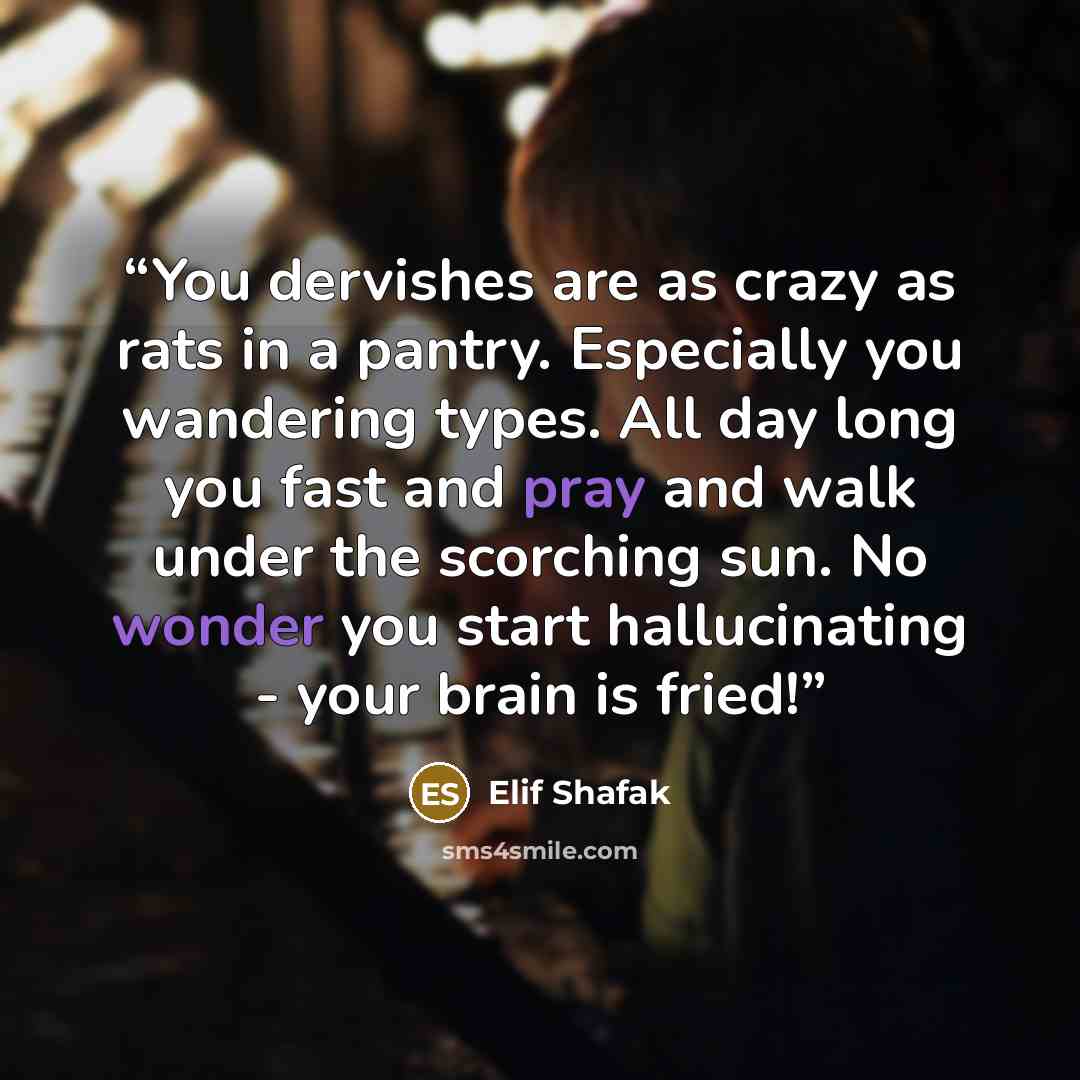 “You dervishes are as crazy as rats in a pantry. Especially you wandering types. All day long you fast and pray and walk under the scorching sun. No wonder you start hallucinating - your brain is fried!” quote by Elif Shafak