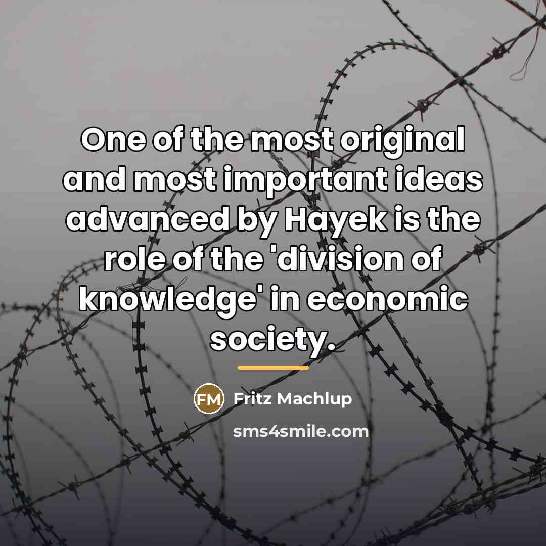 “One of the most original and most important ideas advanced…” quote by Fritz Machlup