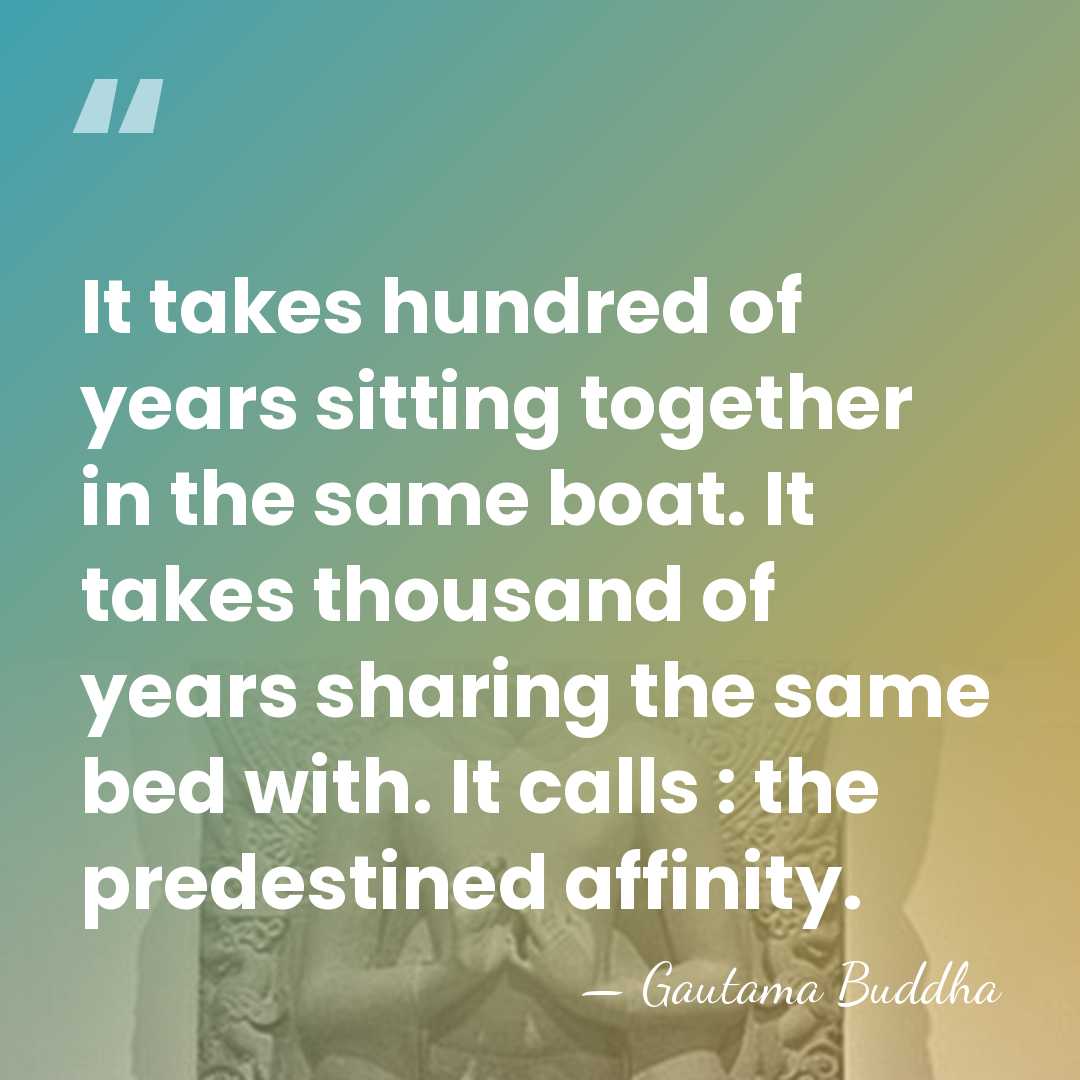 It takes hundred of years sitting together in the same boat. It&hellip; - Gautama Buddha