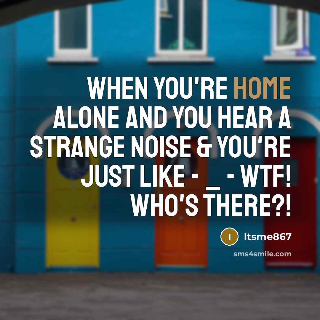 “When you`re home alone and you hear a strange noise…” quote by Itsme867