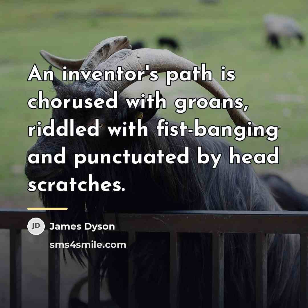 “An inventor's path is chorused with groans, riddled with fist-banging…” quote by James Dyson
