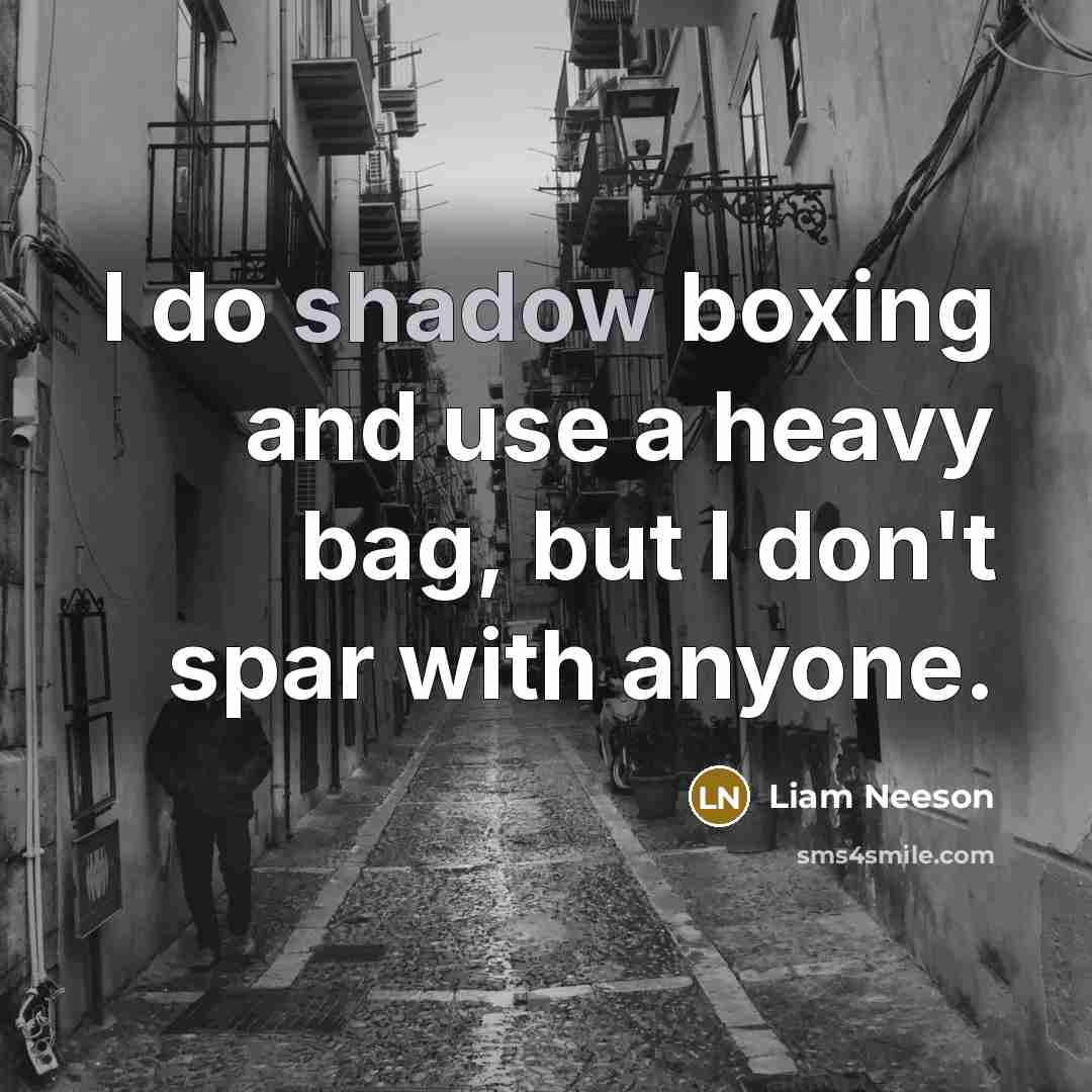 “I do shadow boxing and use a heavy bag, but…” quote by Liam Neeson