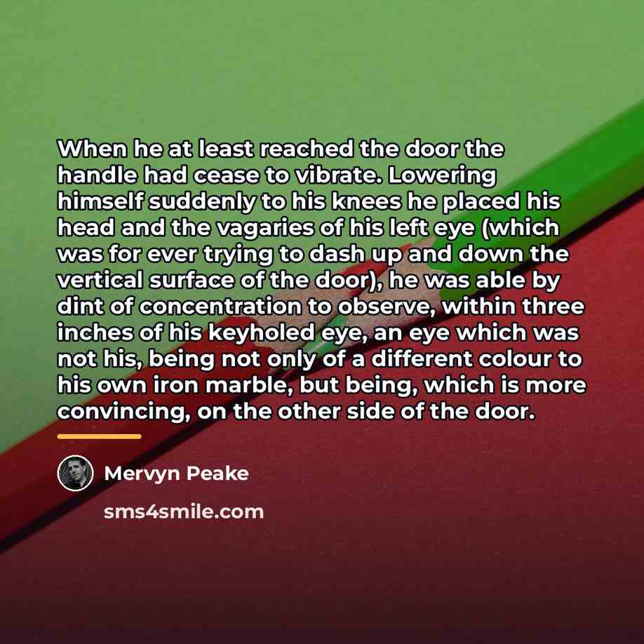 “When he at least reached the door the handle had…” quote by Mervyn Peake