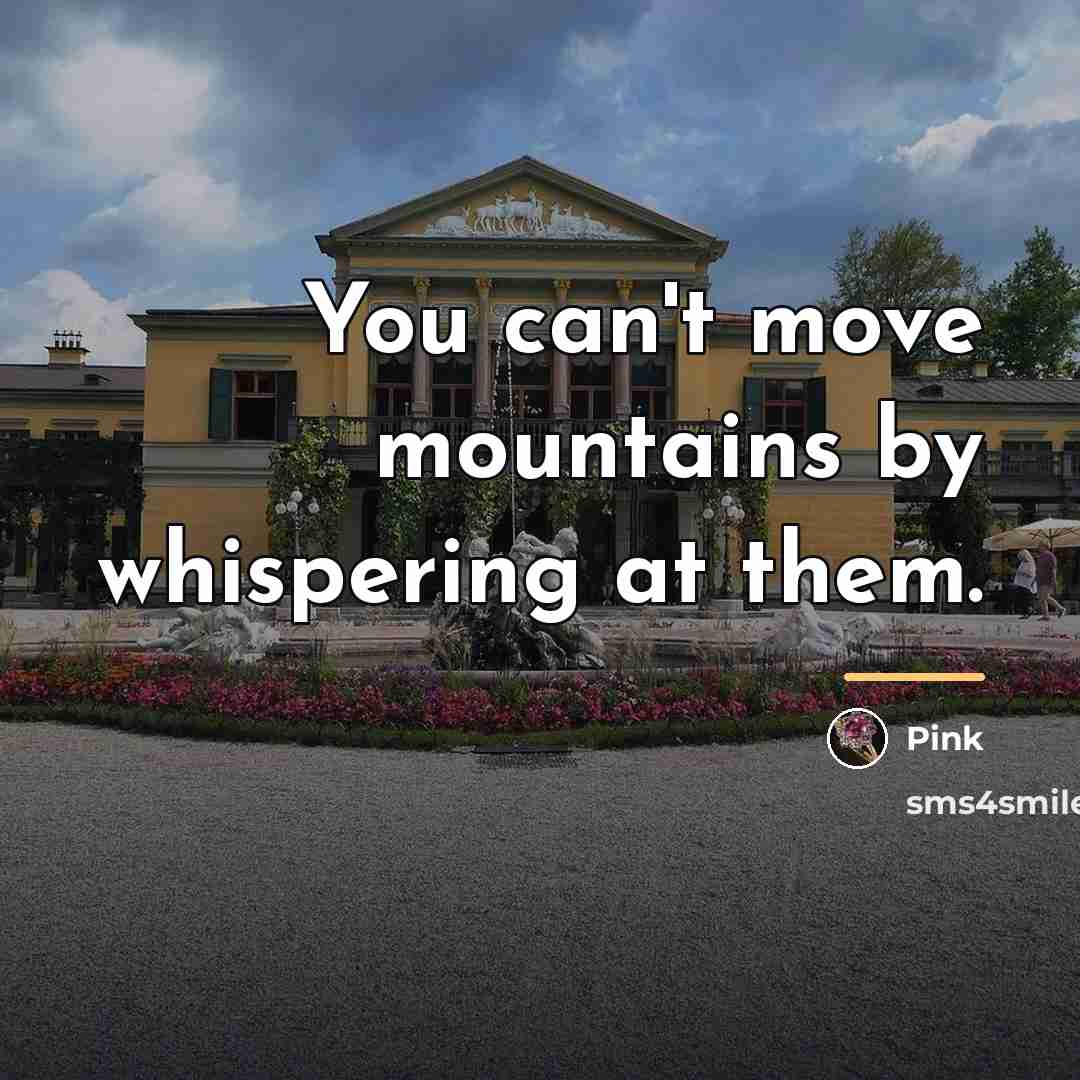 “You can't move mountains by whispering at them.…” quote by Pink