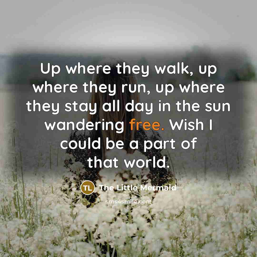 “Up where they walk, up where they run, up where…” quote by The Little Mermaid