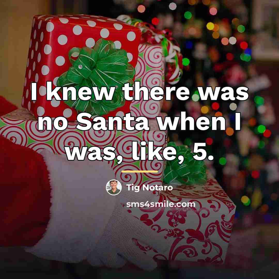 “I knew there was no Santa when I was, like,…” quote by Tig Notaro