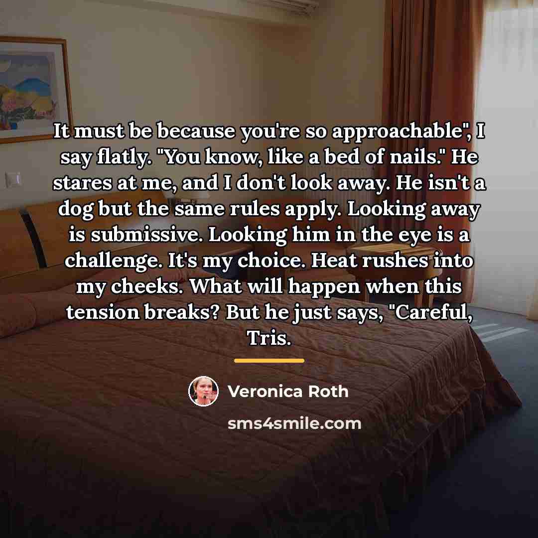 “It must be because you're so approachable", I say flatly.…” quote by Veronica Roth