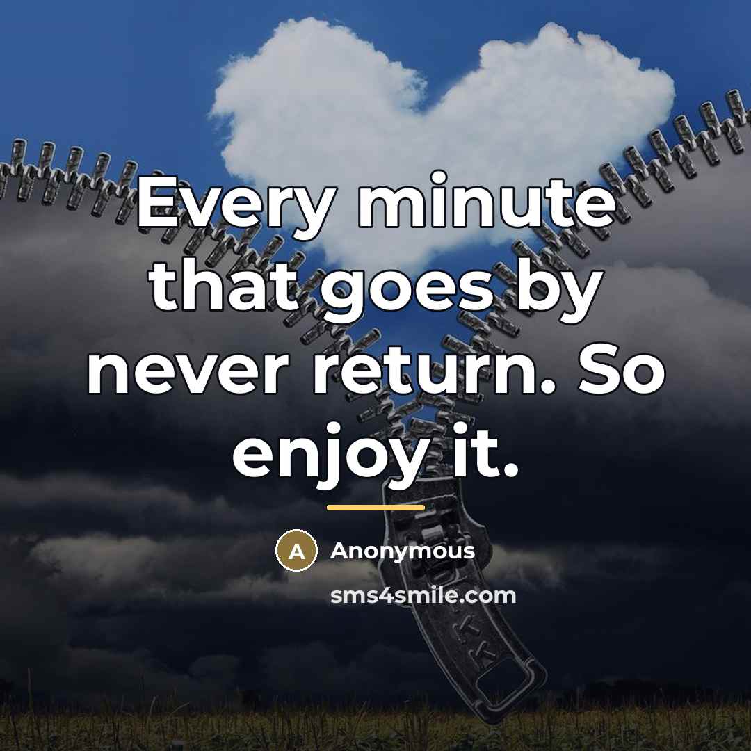 “Every minute that goes by never return. So enjoy it.…” quote by Anonymous