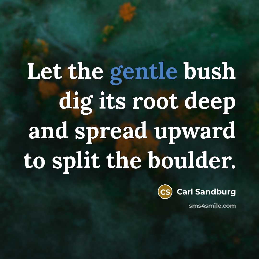 “Let the gentle bush dig its root deep and spread…” quote by Carl Sandburg