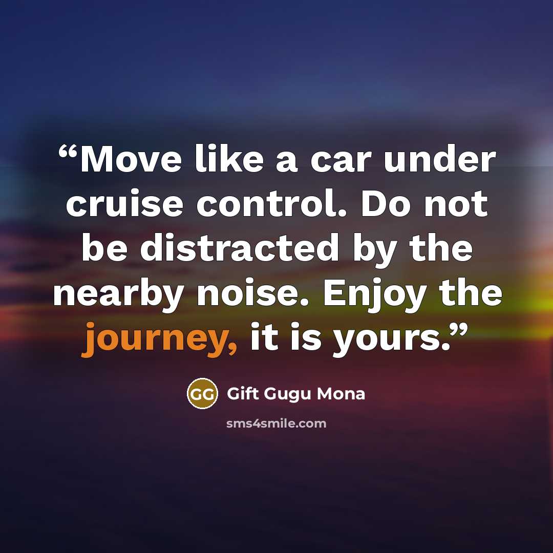 “Move like a car under cruise control. Do not be distracted by the nearby noise. Enjoy the journey, it is yours.” quote by Gift Gugu Mona