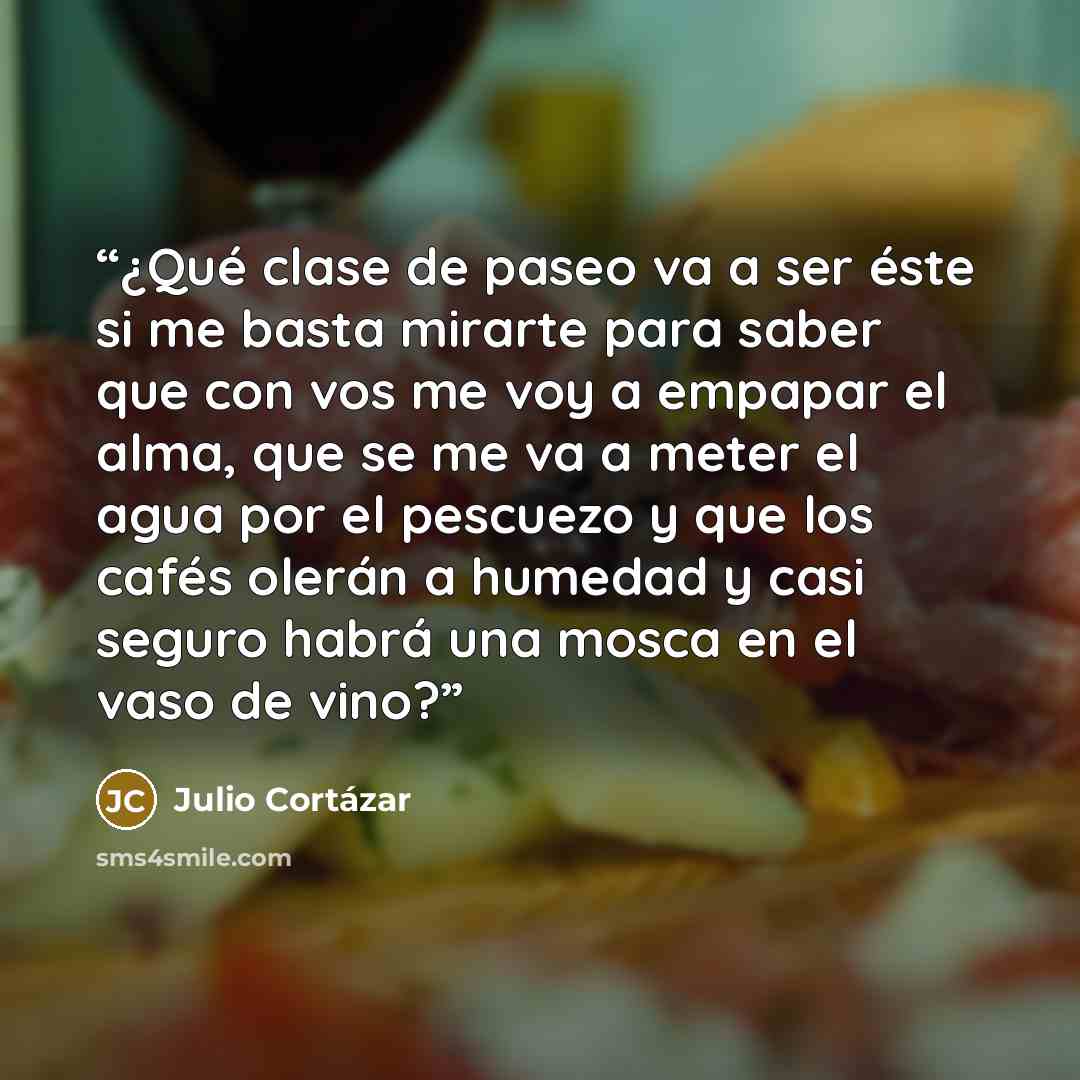 “¿Qué clase de paseo va a ser éste si me basta mirarte para saber que con vos me voy a empapar el alma, que se me va a meter el agua por el pescuezo y que los cafés olerán a humedad y casi seguro habrá una mosca en el vaso de vino?” quote by Julio Cortázar