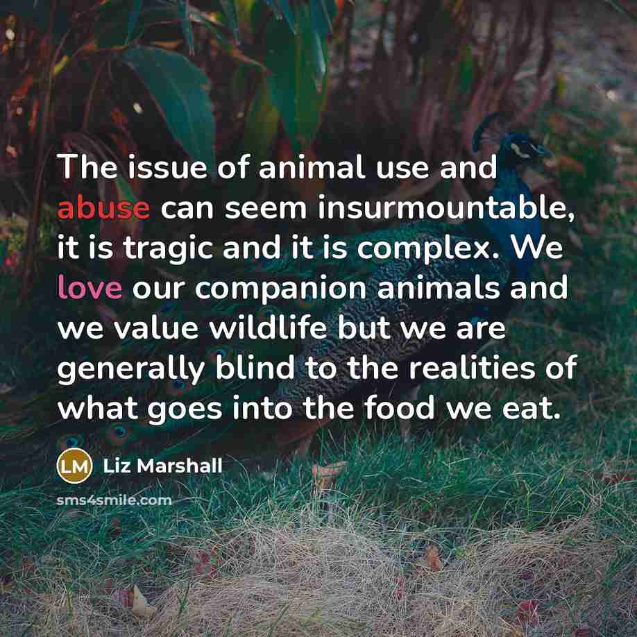 “The issue of animal use and abuse can seem insurmountable,…” quote by Liz Marshall