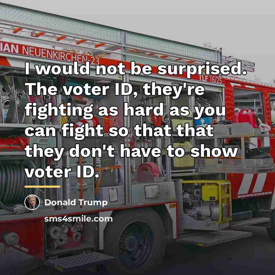 “I would not be surprised. The voter ID, they're fighting…” quote by Donald Trump