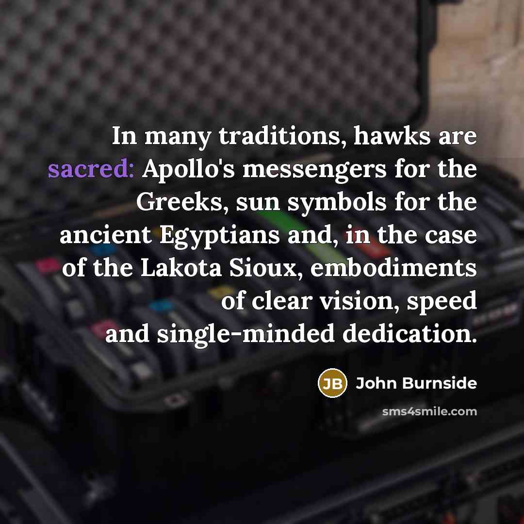 “In many traditions, hawks are sacred: Apollo's messengers for the…” quote by John Burnside