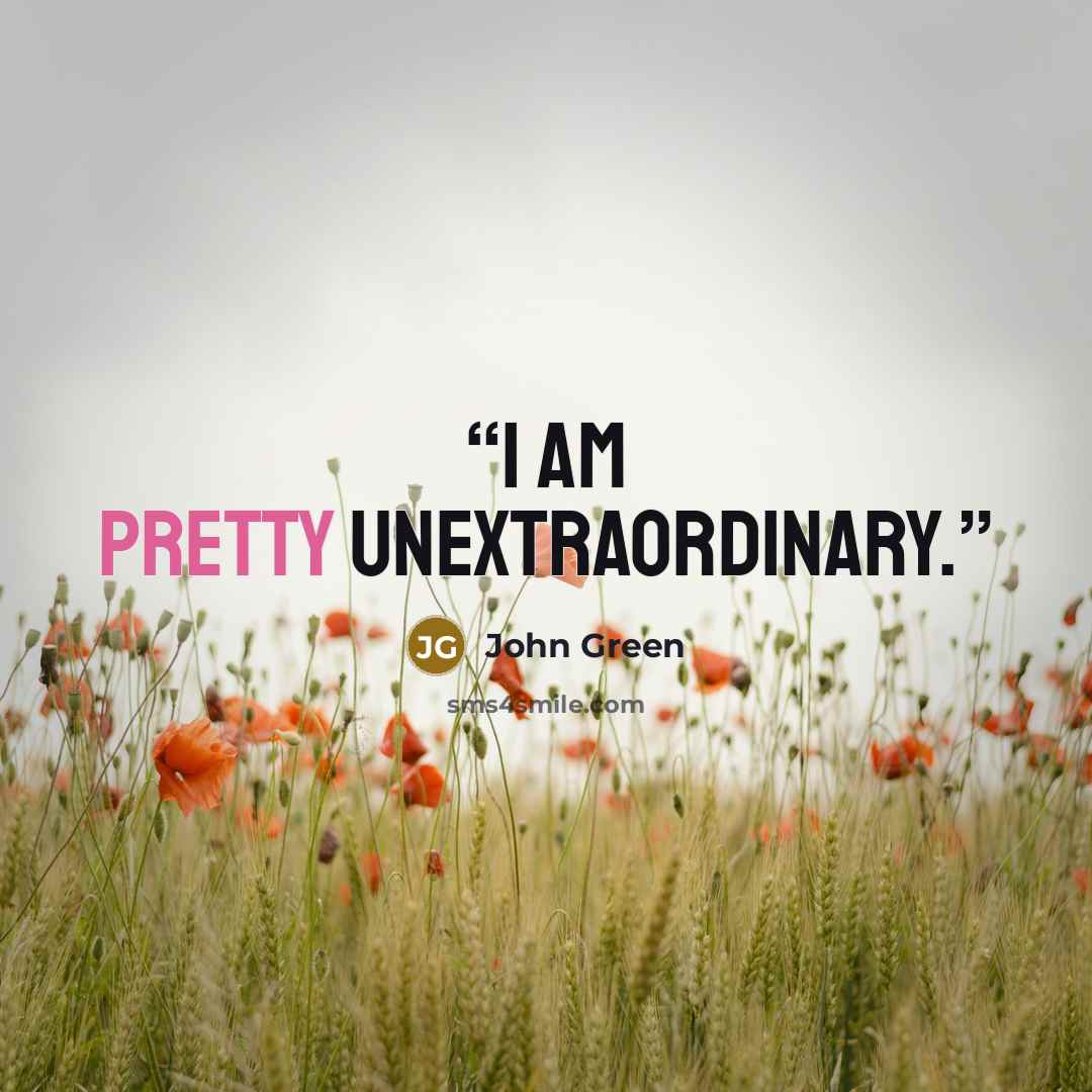 “I am pretty unextraordinary.” quote by John Green