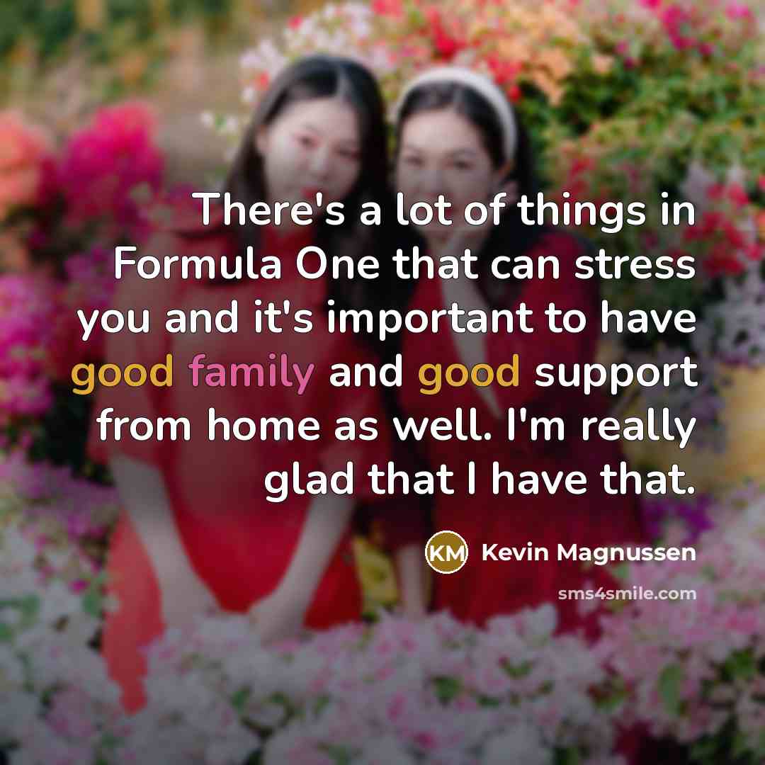 “There's a lot of things in Formula One that can…” quote by Kevin Magnussen